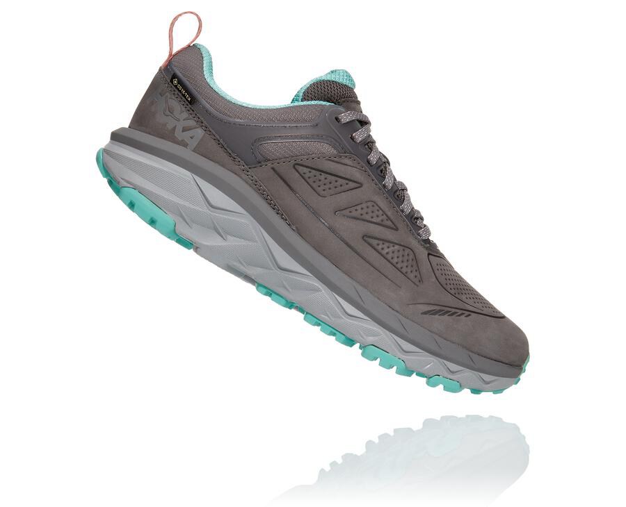 Tenis Trail Hoka One One Feminino Cinzentas - Challenger Baixo Gore-Tex - 765-NAEUZB